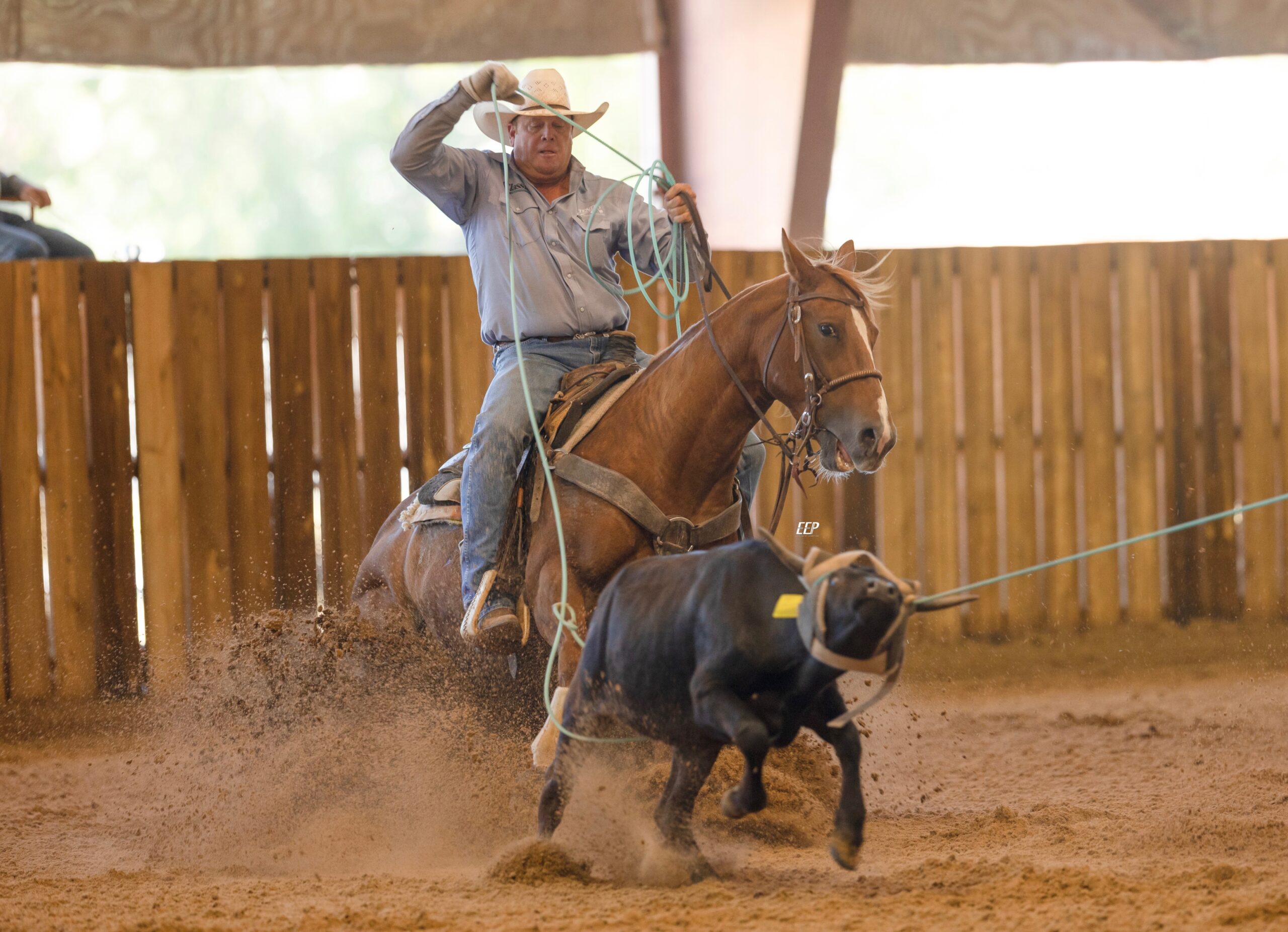 Steve Orth Heeling Ardmore Oklahoma