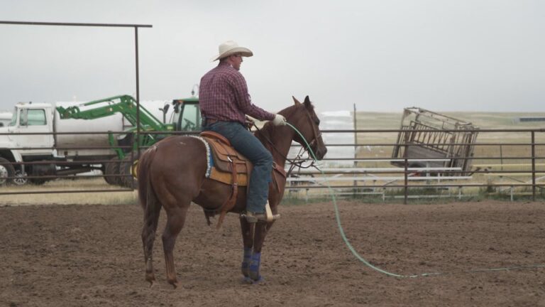 Horse's Mind Team Roping Journal