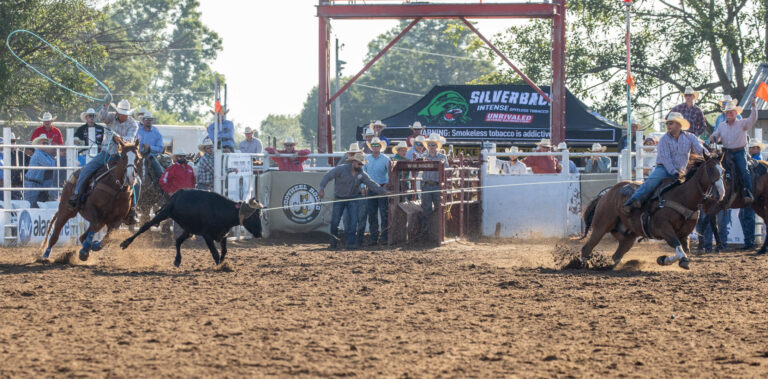 ProRodeo Circuit Standings