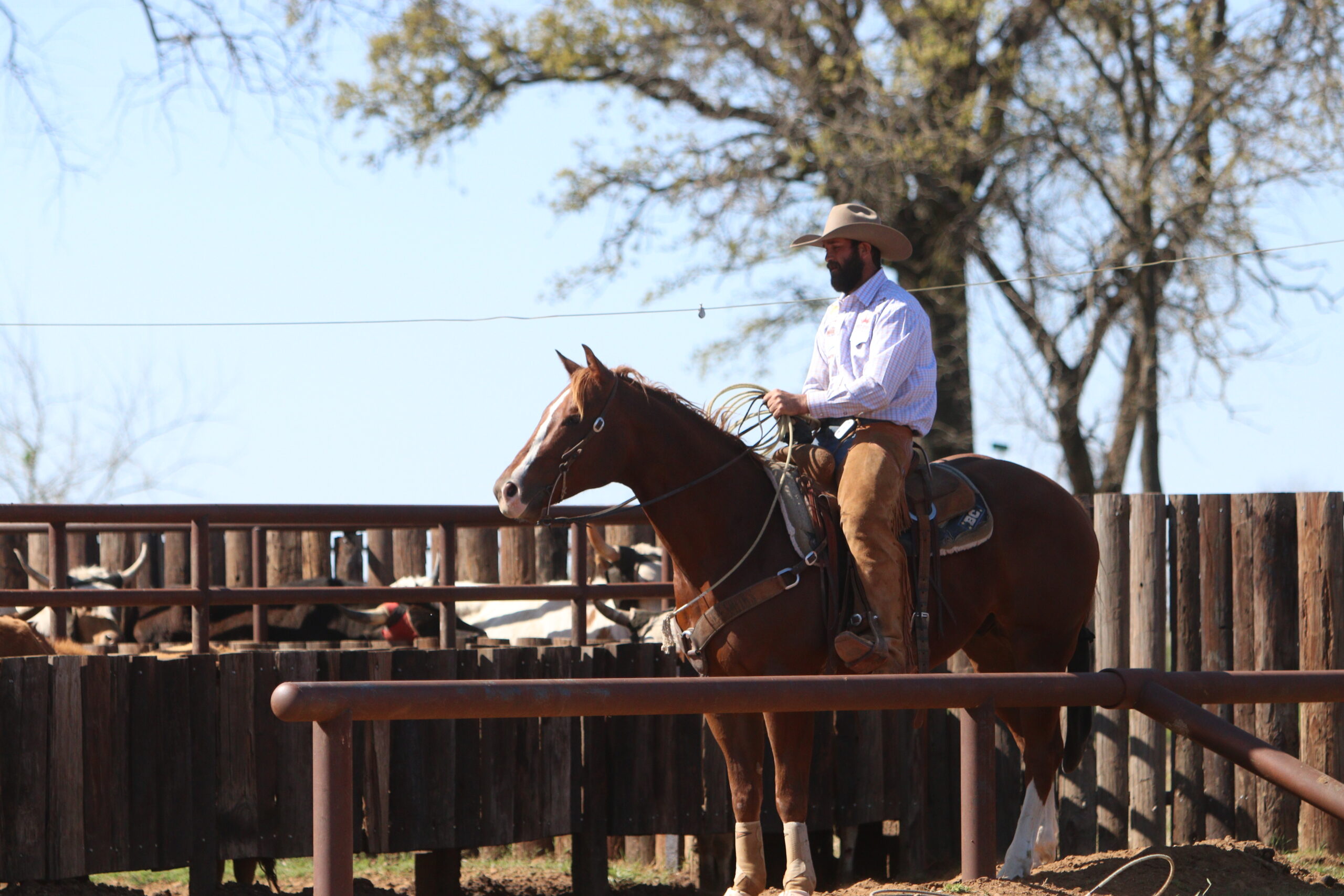 Roping.com Dakota Kirchenschlager