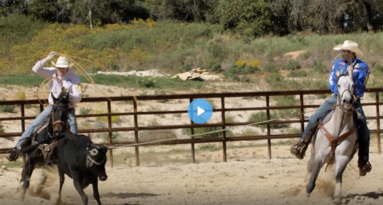 Screen Shot 2022-05-31 at 1.38