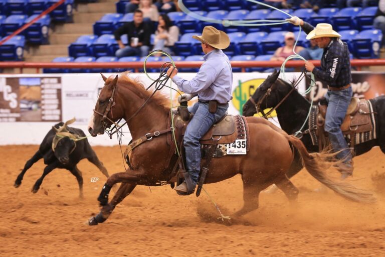 B51850E4-6254-4EEF-8D41-8D3B6B381E95