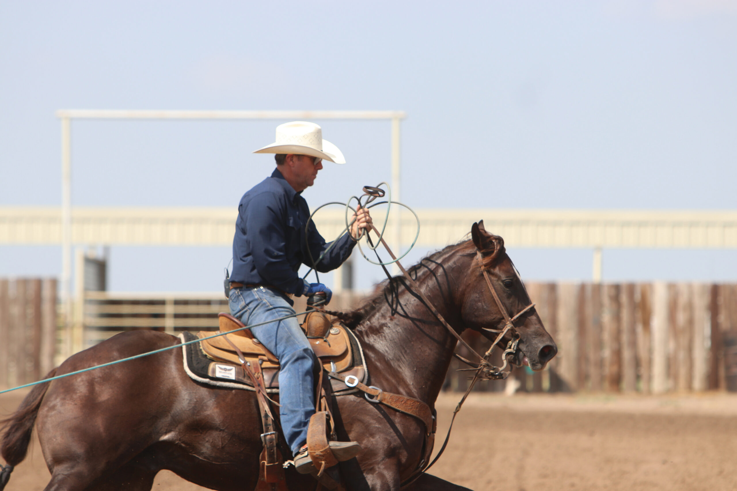 Facing Team Roping Trevor Brazile