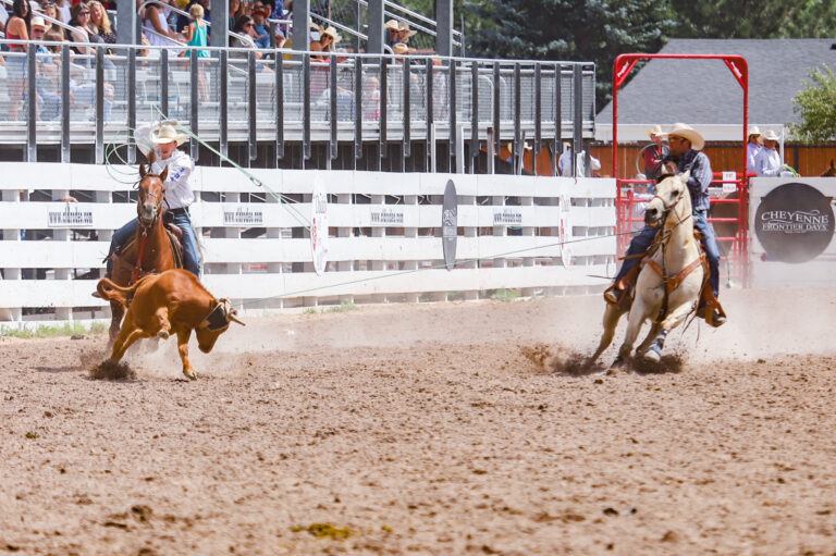 Team Roping Circuit Standings