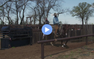 Roping Tips for Smooth Scoring