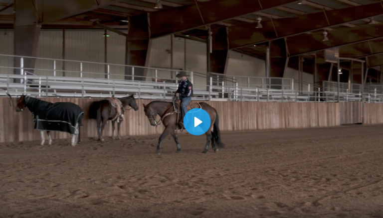 Pre-Practice Warm-Up Routine