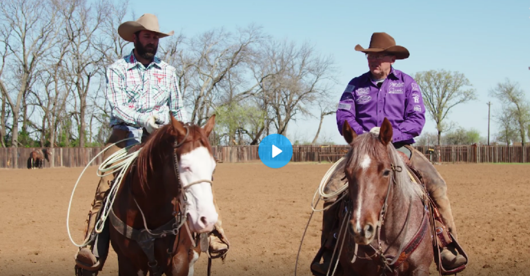 Green Head & Heel Horse Training Runs