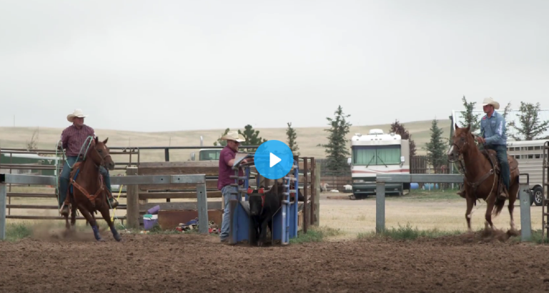 Freeing Your Heel Horse Up