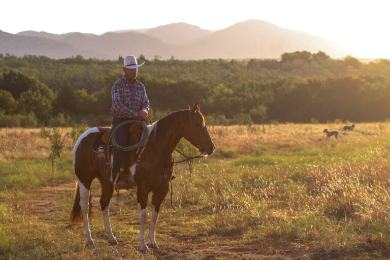 291764334_2751483631661881_8223867436901329949_n