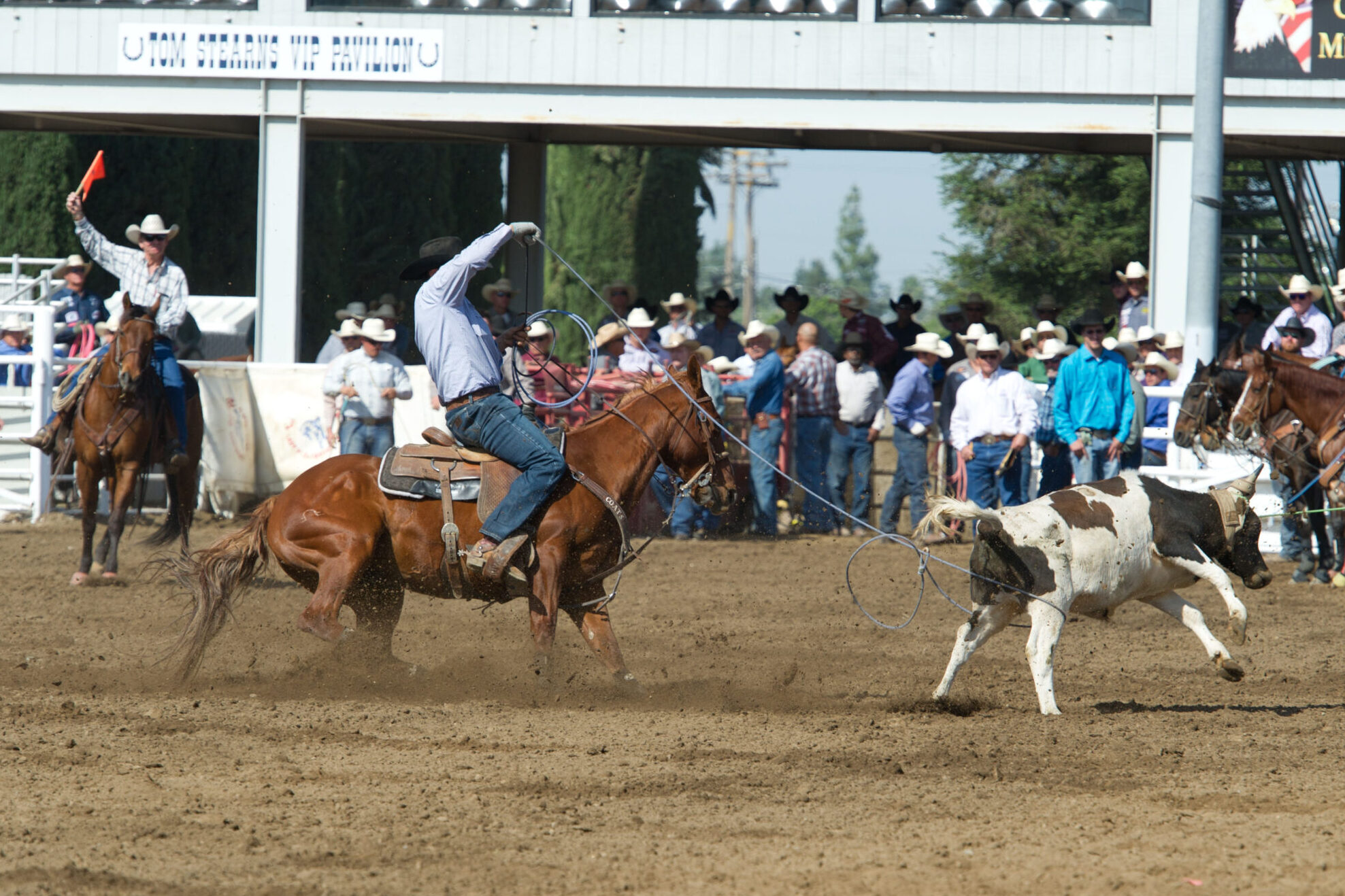 Team Roping Circuit