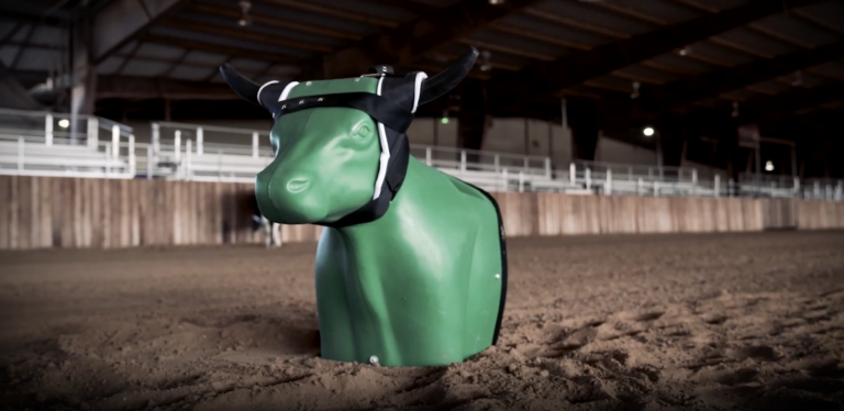 Smarty Train Like a Pro