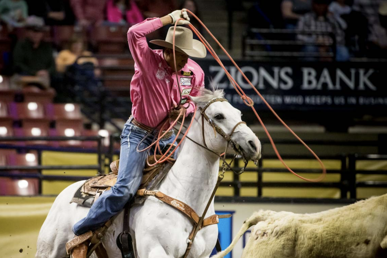 Apache Blue Boy Dies at 28 - The Team Roping Journal