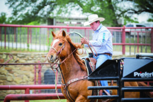 Travis Graves in the heeling box getting ready to rope.