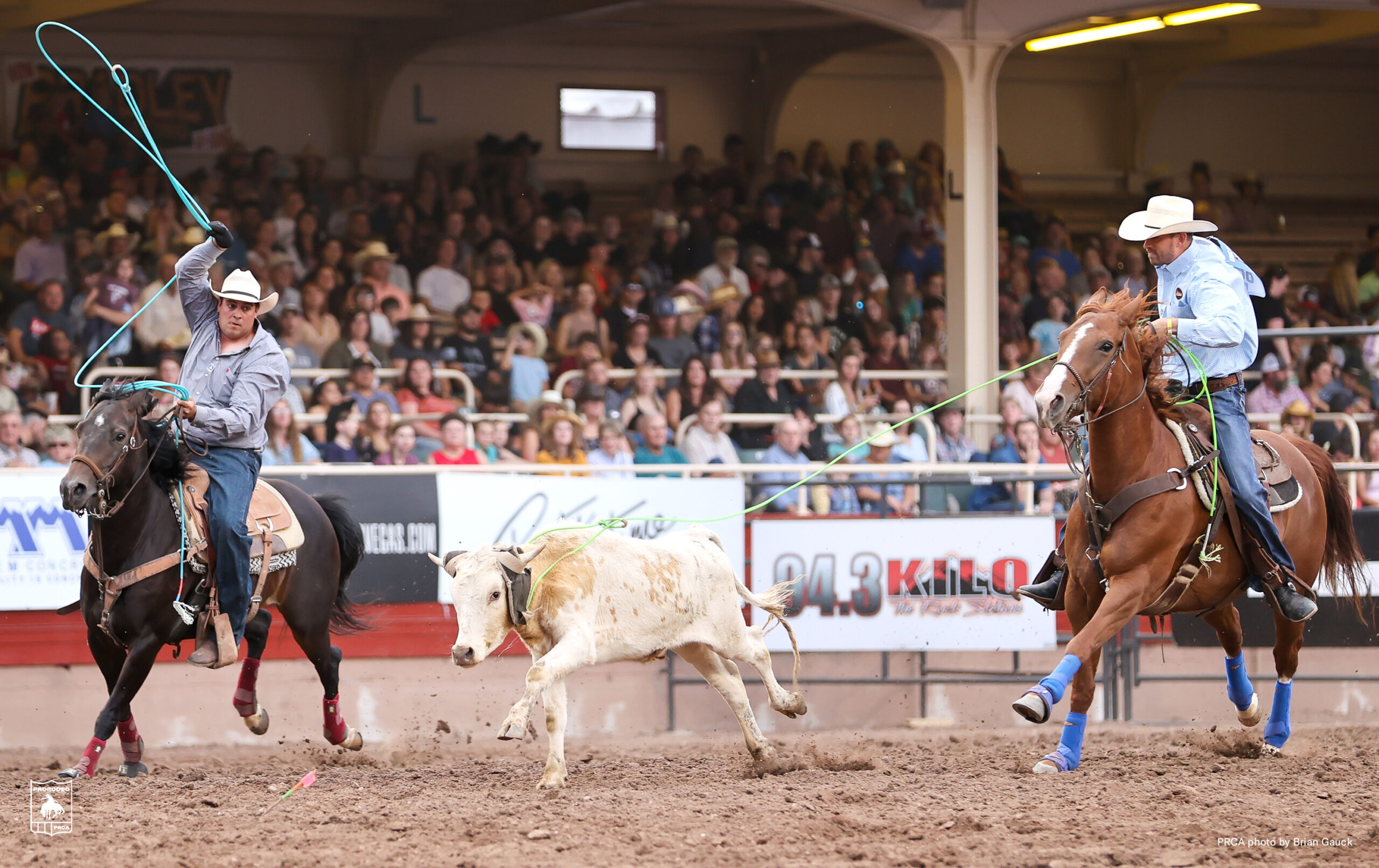 First Frontier Circuit Eric Fabian Derek Carey Team Roping Journal