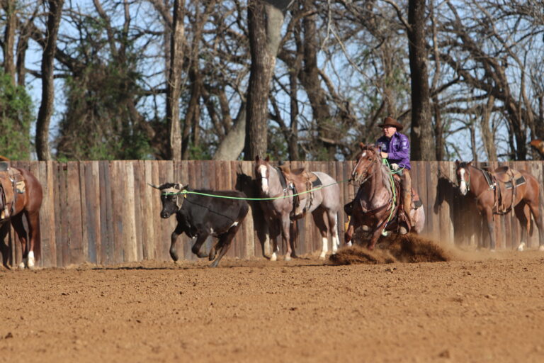 Team Roping Videos