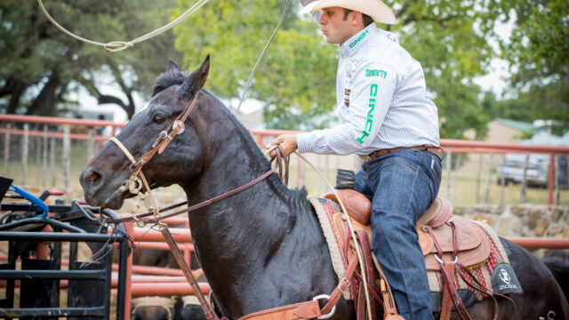 Anthony Lucia team roping