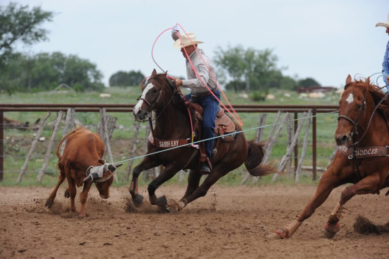 273043518_2620426124767633_7911578064783043519_n