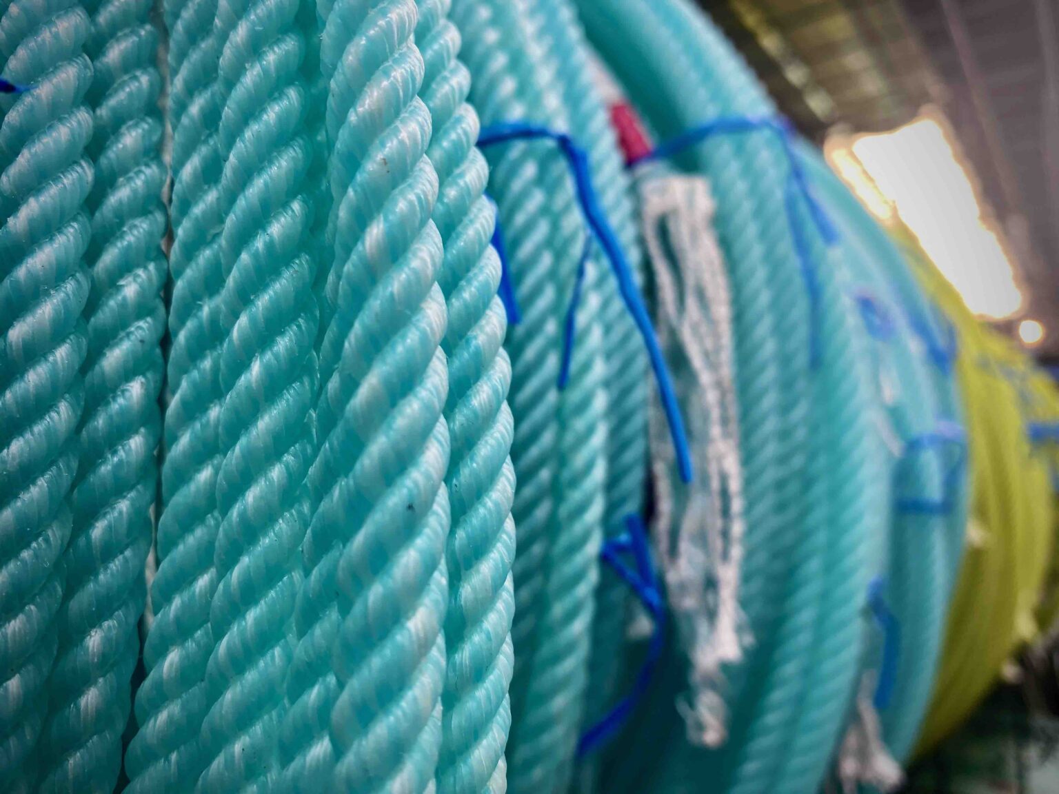 2022 NFR Headers' Rope Choice - The Team Roping Journal