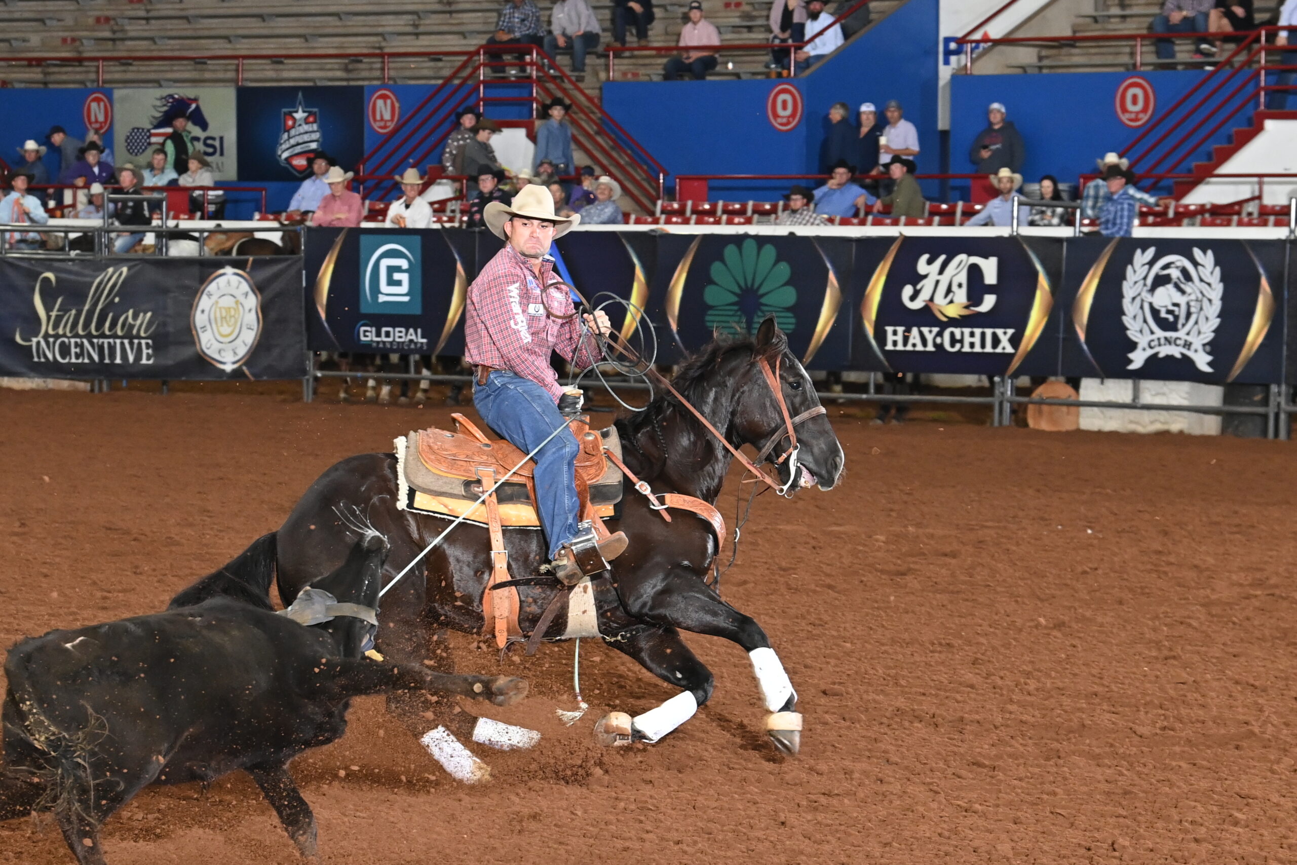 Riata Buckle Futurity Colby Lovell Seven S Whiskeysour