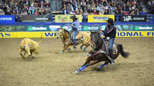 Kaleb Driggers Junior Nogueira