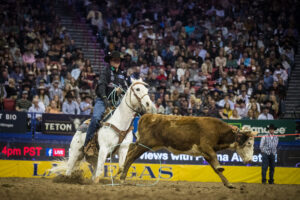 NFR team roping steer Jade Corkill