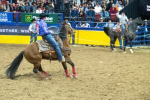 Yates and Romancing The Chicks