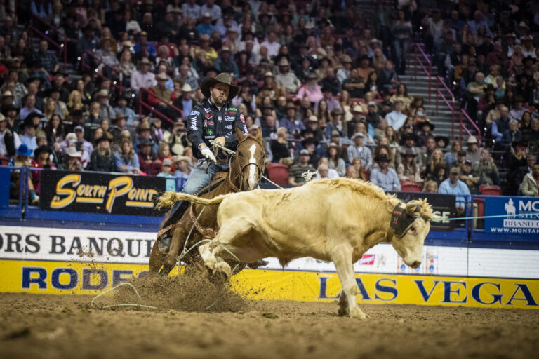 NFR Steer