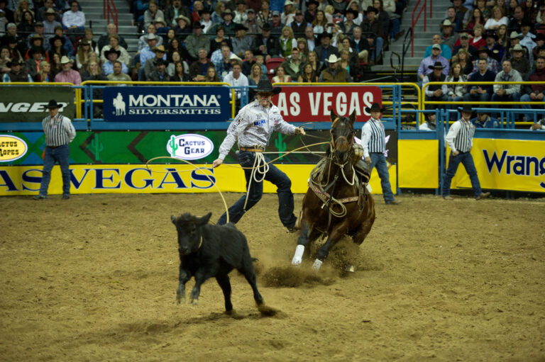 Calf Roping