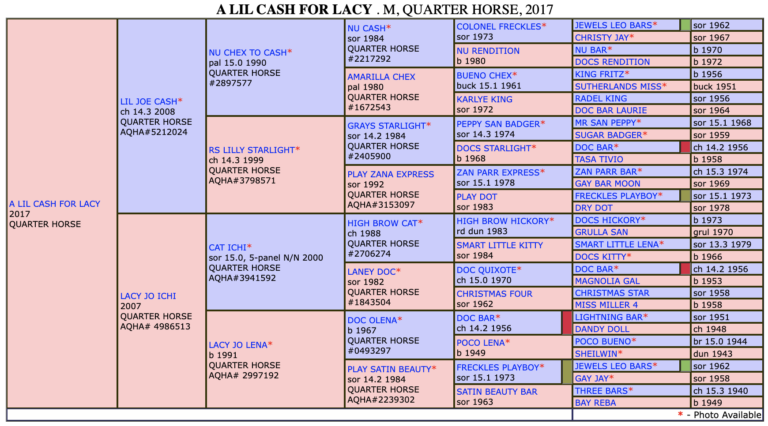 Screen-Shot-2022-12-01-at-9.52