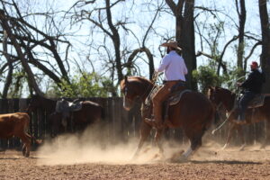 Tate K working on a horses stop
