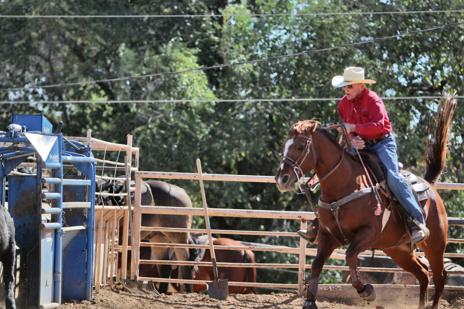 Team Roping Tips and Teachings from Dick Yates