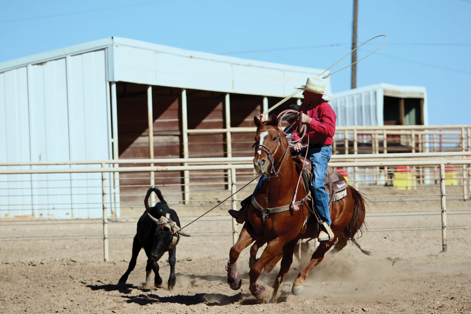 Team Roping Tips and Teachings from Dick Yates