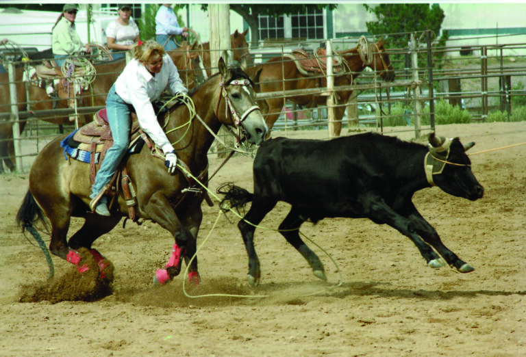 Roping-Camp-Verde