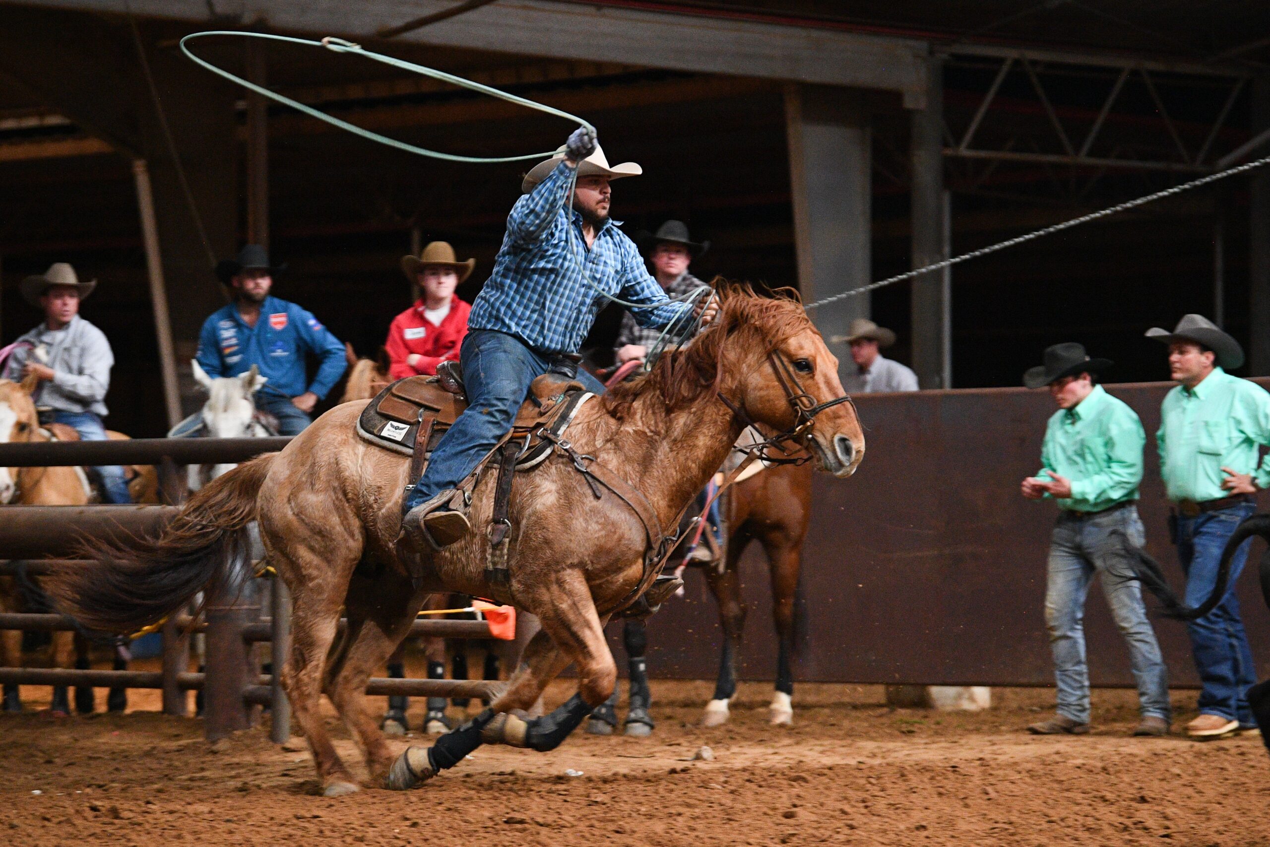 Dalton Turner sets to rope at the 2023 Lone Star Shootout team roping.