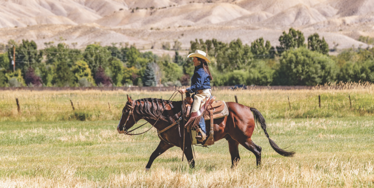 LargeBillsPlease_Paul Hurschmann_BIBOphoto_TRJ_BreedersGuide-March2021_Print_3787