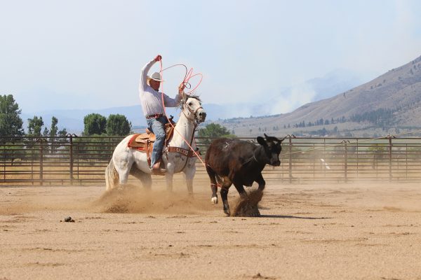 The Secret to Getting Consistent Heel Shots in Team Roping