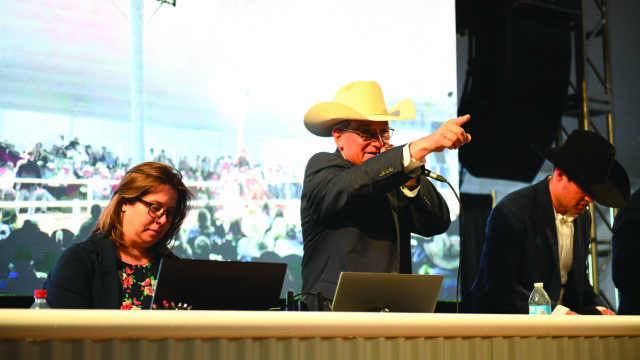 Steve Friskup Horse Sale at Rancho Rio