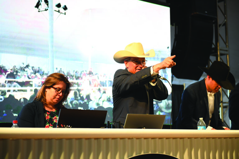 Steve Friskup Horse Sale at Rancho Rio