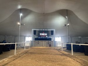 Rancho Rio Horse Sale