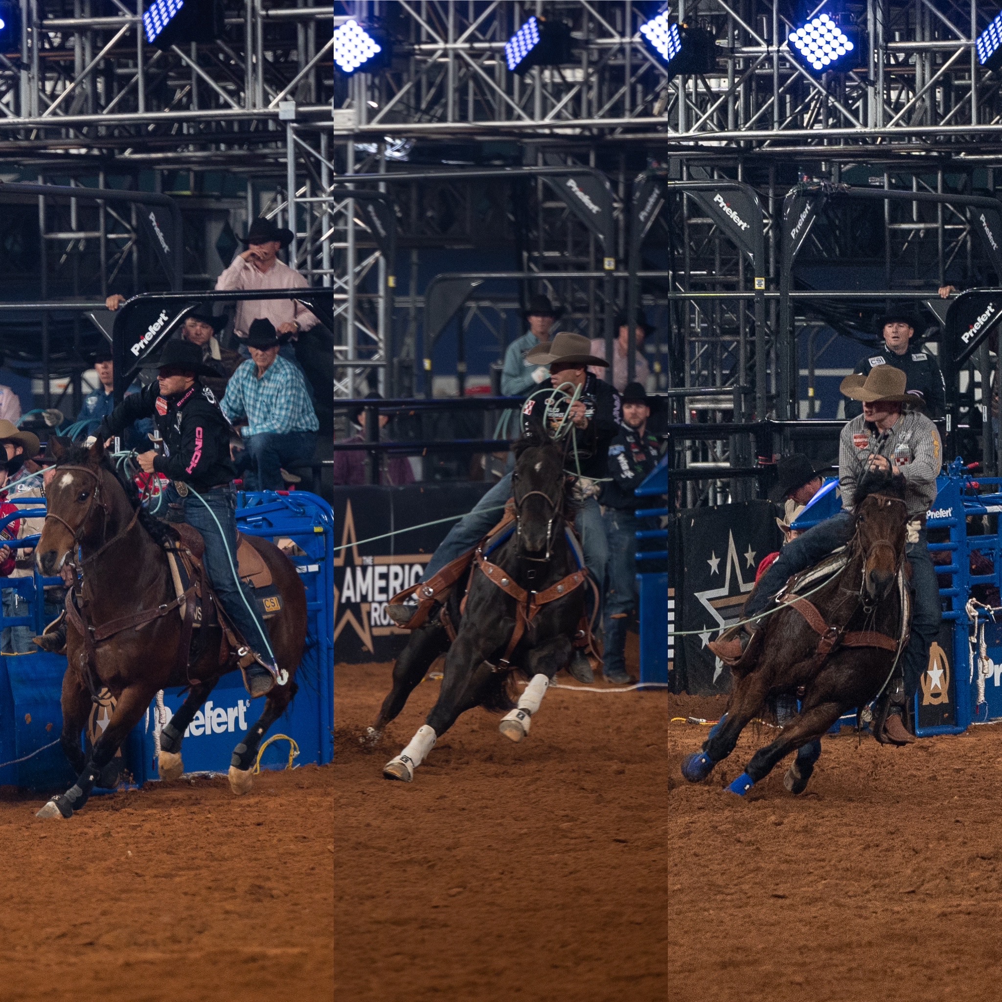 American Rodeo Head Horses