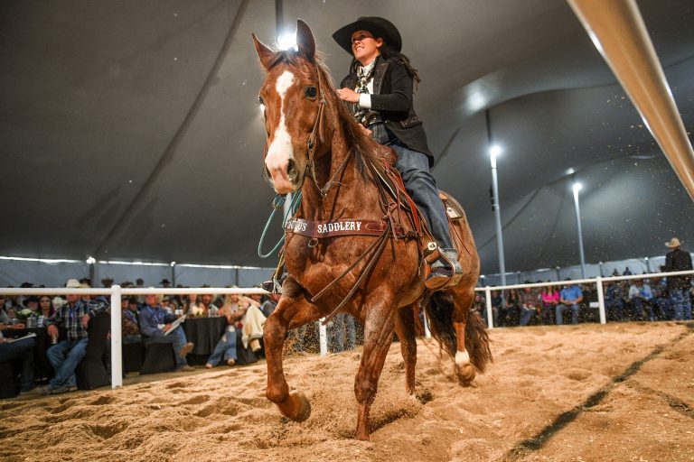 TRR Kadabra Cat being ridden in the sale ring at the Ranchio Rio Horse Sale.