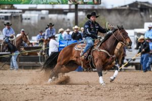 CRR Hurricane Fajita being ridden at team roping event