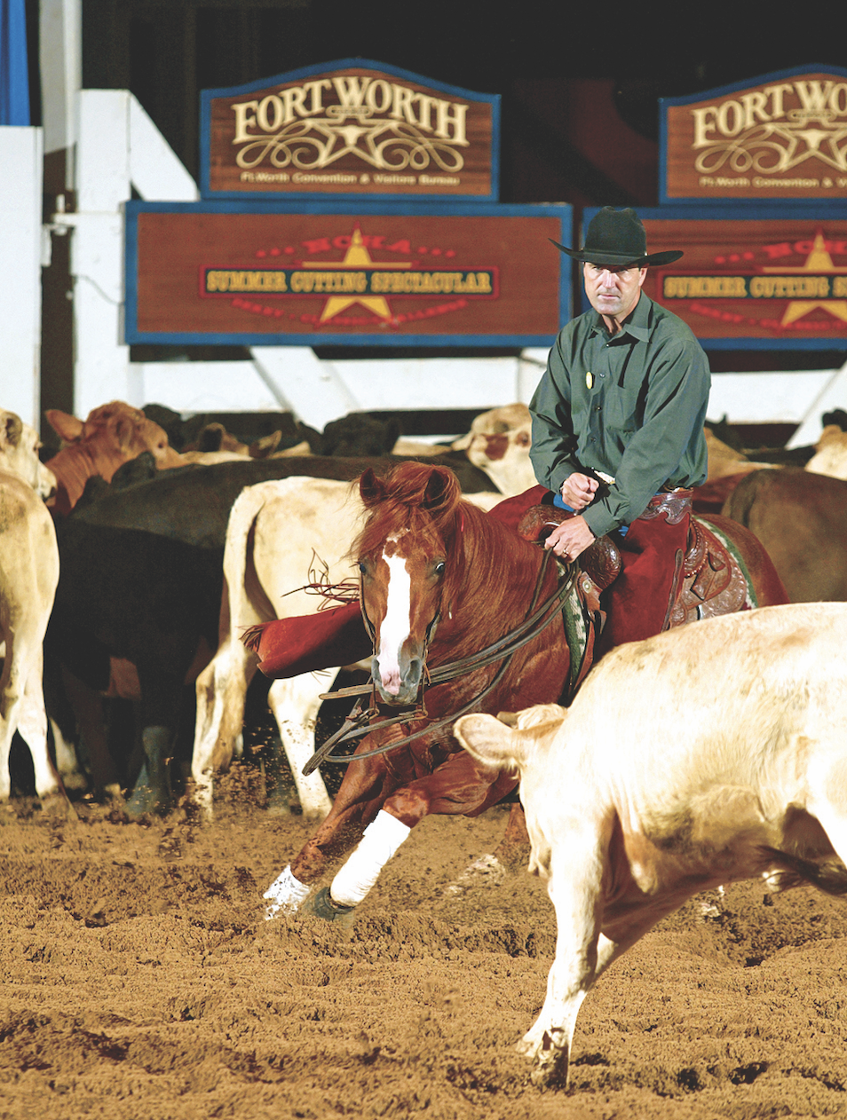 sorrel stallion Cat Ichi working a cow