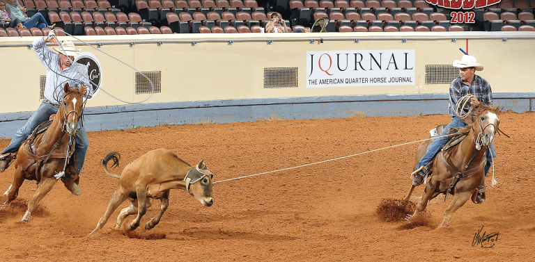 Two men team rope in an arena at the 2012 Battle in the Saddle.