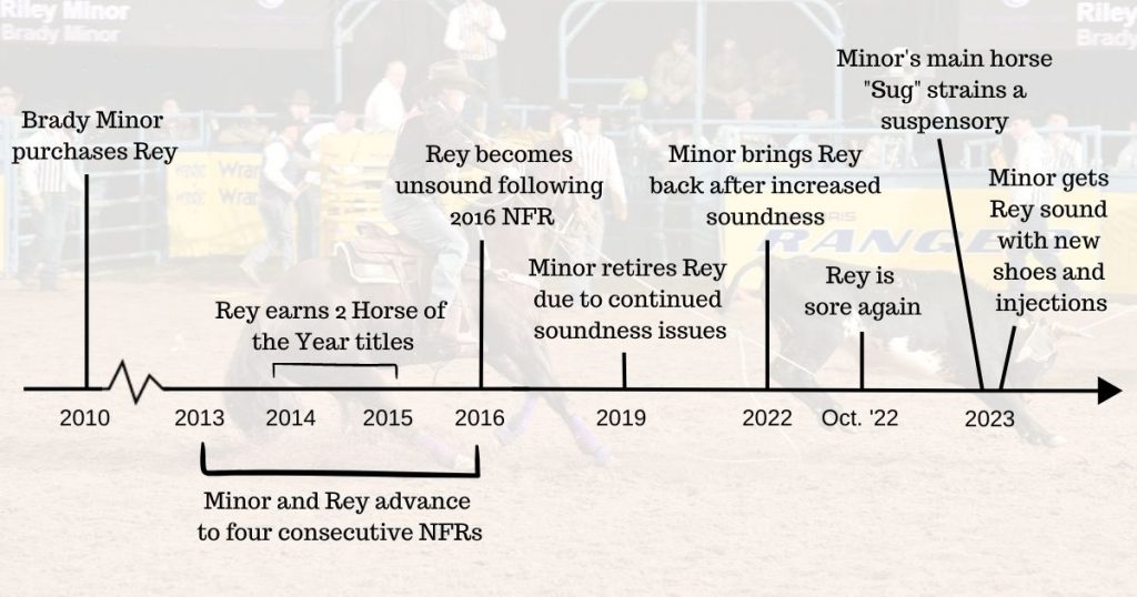 a graphic timeline of the horse rey