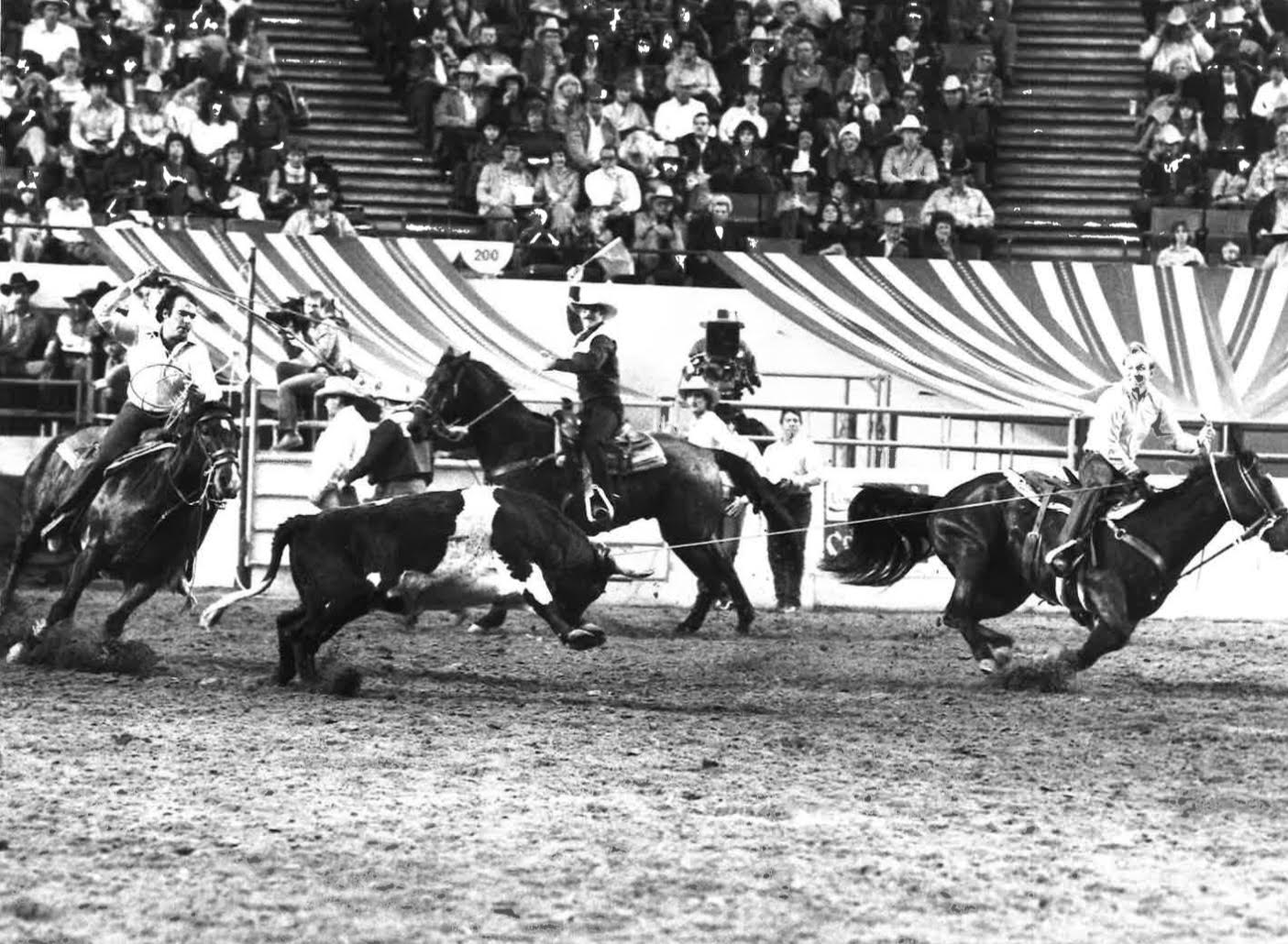 Doyle and Walt making a run at the 1983 NFR in Oklahoma City. Look at the size of that steer. Jim Fain Photo Courtesy of PRCA