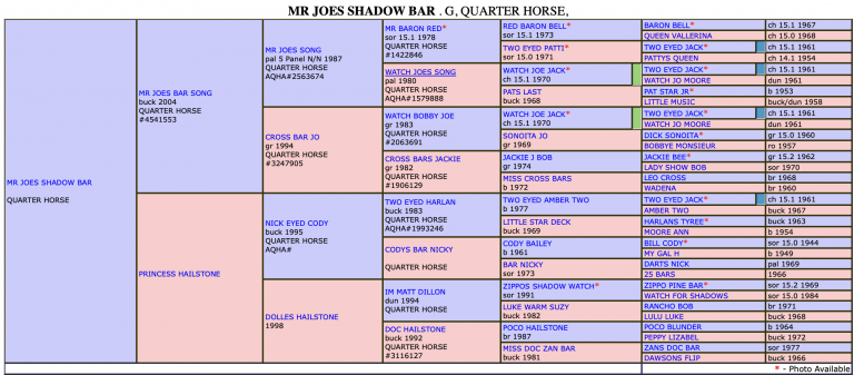 Mr Joes Shadow Bar's papers.