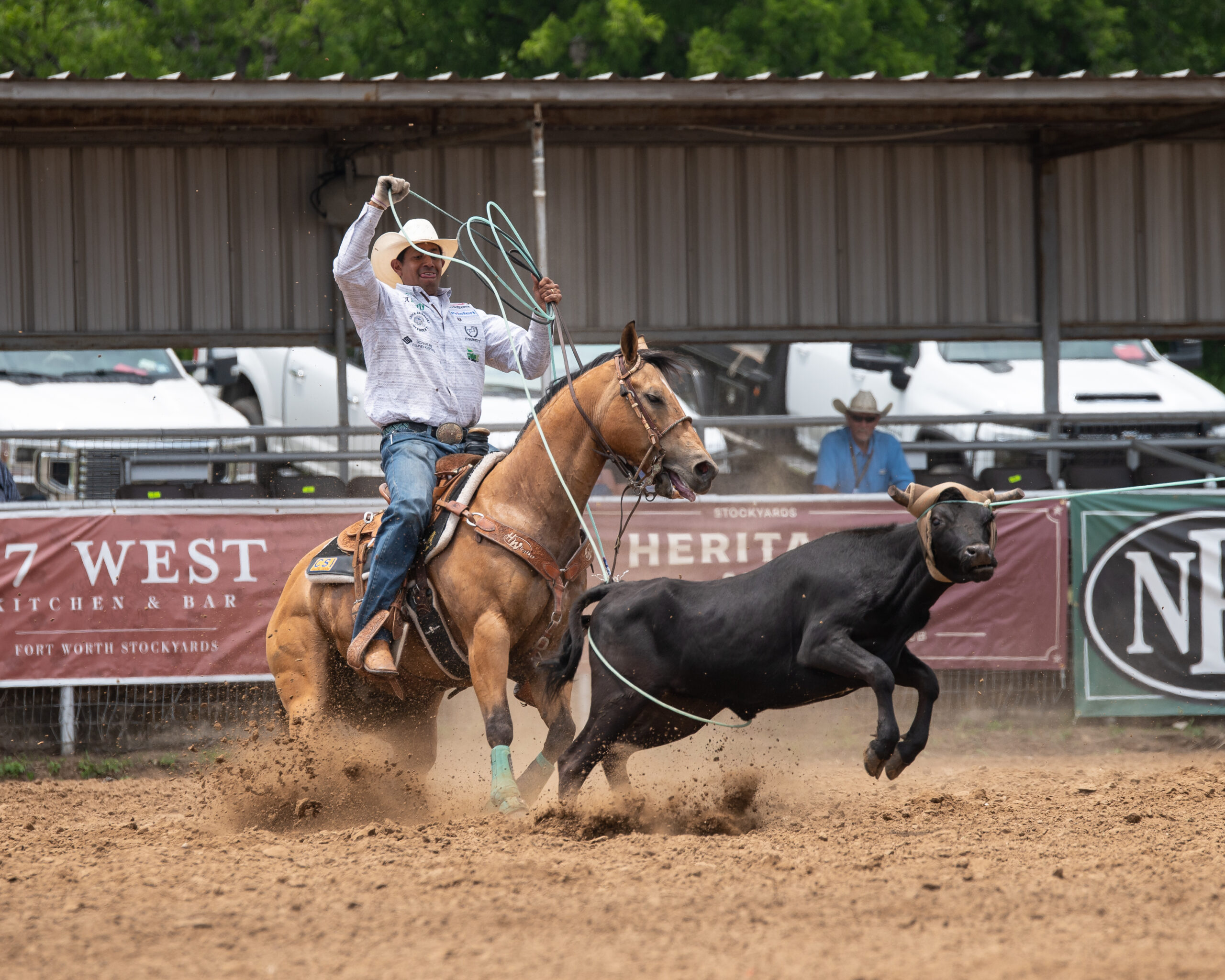 Junior Nogueria heeling a steer at the 2023 Windy Ryon.