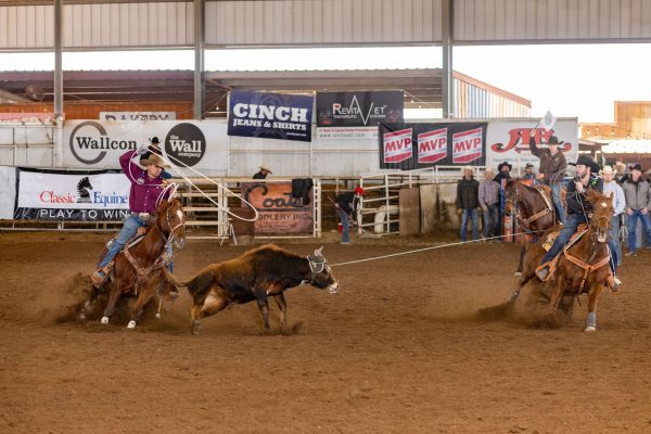 Kaleb Driggers and Andy Holcomb roping a steer at the 2023 Royal Crown in Buckeye, Arizona.