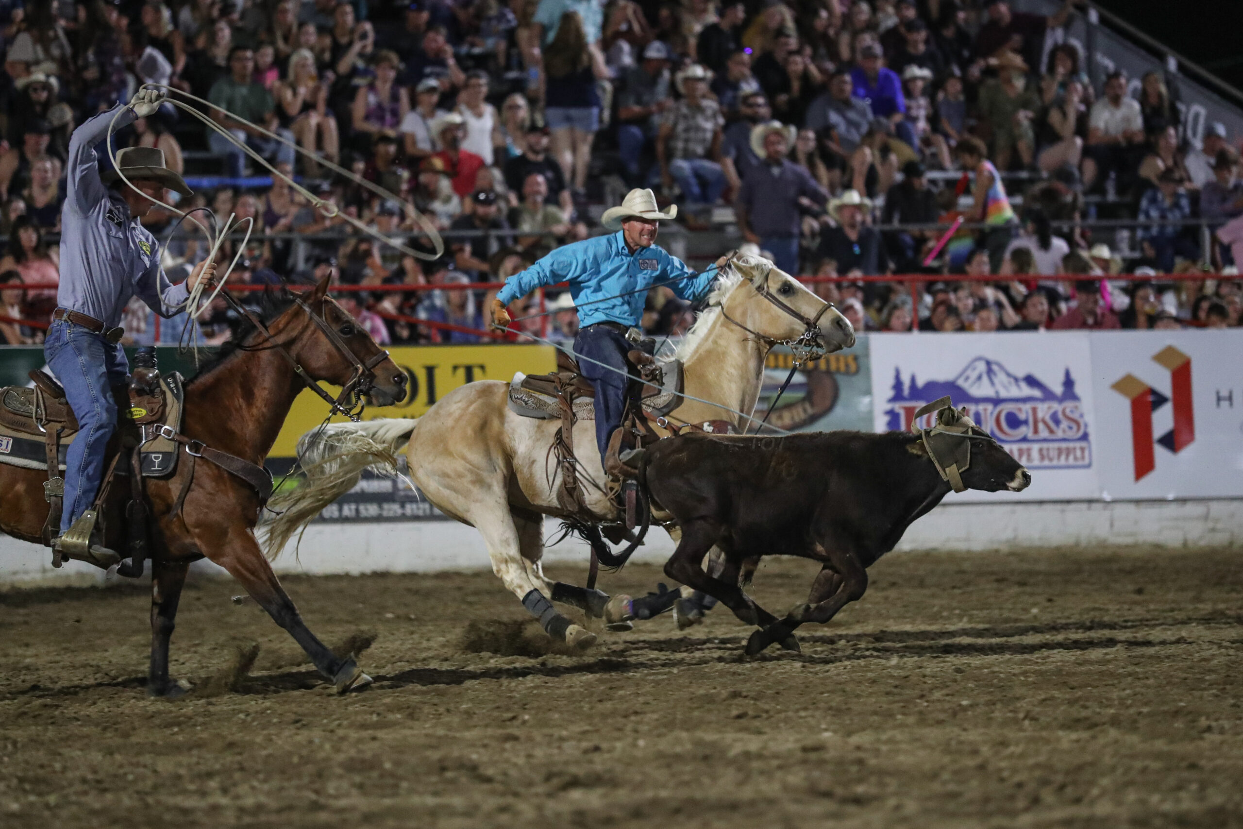 Dan Williams and Cody Stewart roping their steer at Redding.